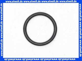 98487000 Hans Grohe O-Ring Dichtung 11x2,5mm