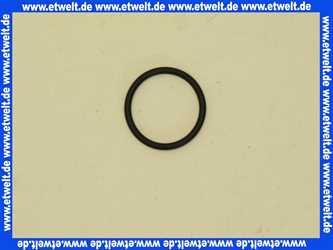 59905053 O-Ring HANSA 25x2,5