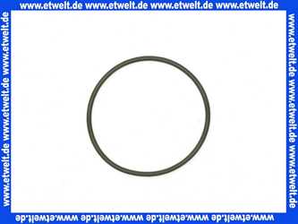 59913975 Hansa O-Ring d: 34,00 x d: 1,50