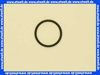 E59912590 Hansa O-Ring Dichtung 28,24 x 2,62