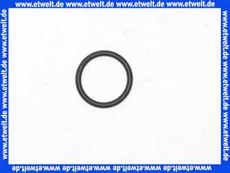 89181000 HansGrohe O-Ring Dichtung 24 x 3,0mm