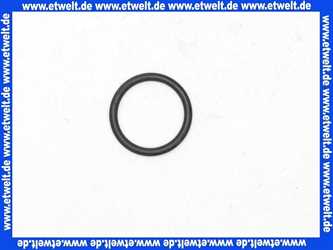 92114000 HansGrohe O-Ring Dichtung 35 x 1,5mm