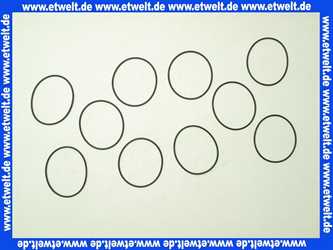 0900748 Honeywell O-Ringsatz für Hauswasserstation HS 10 VPE 10 Stück