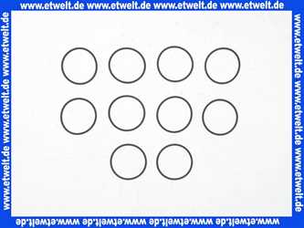 0901499 Honeywell O-Ring 10 Stück Dichtung zu D06F/FF + FK06 3/4 - 11/4 Zoll