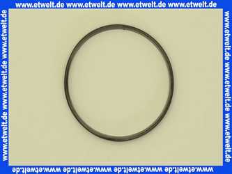 A961636NU Ideal Standard Dichtring