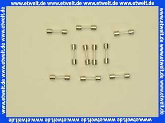 7100320 Junkers Feinsicherung 1,25 AT/220V (10x)