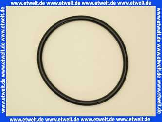 7747005743 Junkers Dichtung 120x8 EPDM