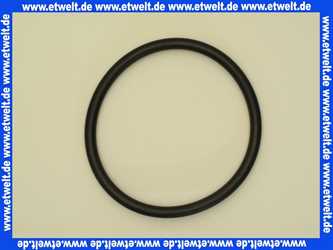 7747007985 Junkers O-Ring 132x10mm für Handloch am Warmwasserspeicher