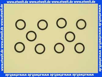 87002051330 Junkers O-Ring (10x)