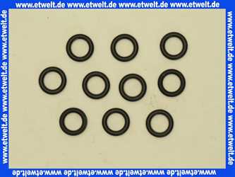 87102050620 Junkers O-Ring (10x)