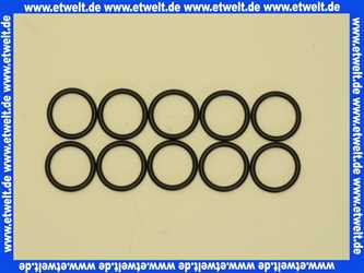 87102050640 Junkers O-Ring (10x)