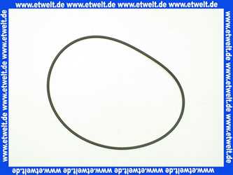 Junkers 8718583004 O-Ring 253,37 x 5,33