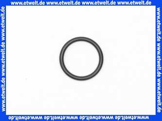 92513000 O-Ring Kludi