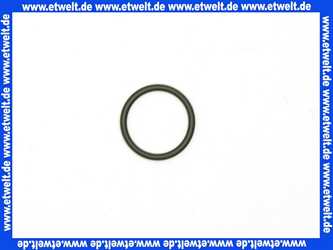 95.99287-0067 MHG MAN O-Ring, 21,89x2,62 für Flansch