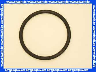 95.99287-0089 MHG MAN O-Ring 110 x 9 AWT 30/61