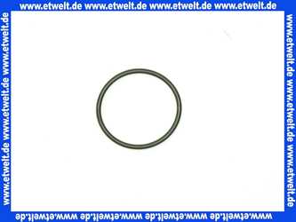 O-Ring Dichtung Dichtring 29,00x2,00 mm EPDM