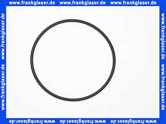 O-Ring Dichtung Dichtring 98,00x4,00 mm EPDM70 perox. vernetzt FDA-konform UBA/W270 nach M534