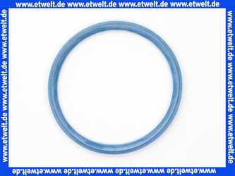 Remeha Dichtelement Dichtring DN 80/Blau 0009270