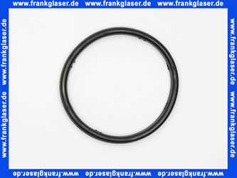 Remeha Dichtung/O-Ring Reinigungsflansch 7795810