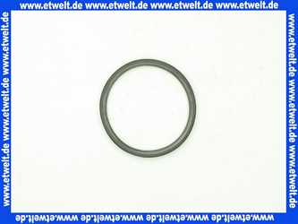 Remeha Dichtring D. 80 S100855