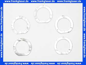 Remeha Brennerdichtung (5x) S50541