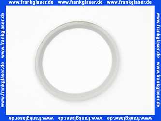 Rotex Dichtring DN80 für ROTEX A1 BO-BG bis BJ 2018 5004824