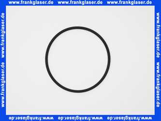 Rotex O-Ring für Brennerflansch für ROTEX A1 BO bis BJ 2018 5005012