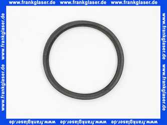 5011321 Rotex seal dia76 WP SP