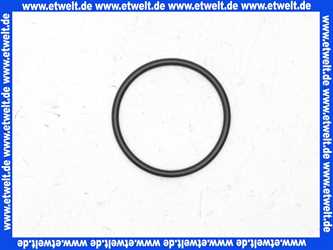 1110000777 Roth O-Ring d:49,21x3,53mm/Doppelw.-T. (1 Stück)