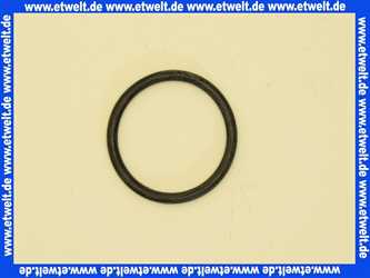 363808 Schwab O-Ring Auslaufstutzen Z7207, 170.00XX