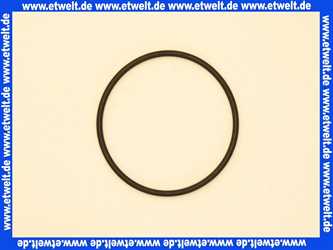 Stiebel Eltron 166060 O-RING 63X3