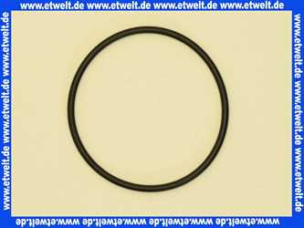 2350.00.907 Syr O-Ring