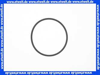 238000963 Syr Ditech O-Ring für Filtertasse