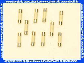 Vaillant Sicherung, 2,0 A T2H, (x10) 0020067507