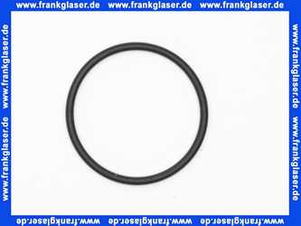 Vaillant O-Ring 982306