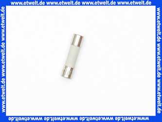 7404365 Viessmann Sicherung T 6,3A 250V (1 Stück)