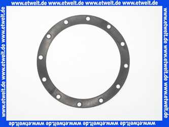 7810167 Viessmann Dichtung 218 x 270 x 3 FMPX 8290 für VertiCell-Frical