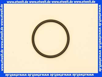 7814727 Viessmann O-Ring f.Mischer 3+4 R 3/4 Zoll