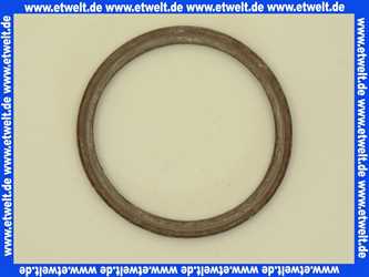 7824837 Viessmann Abgasdichtung D=80 Viton