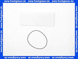 15133426152 Weishaupt Filtereinsatz-Set WF 3065/1 bestehend aus: Filtereinsatz und O-Ring