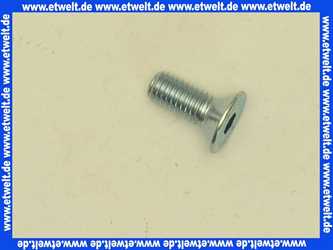 402408 Weishaupt Schraube M6 x 18,5 DIN 912 8.8