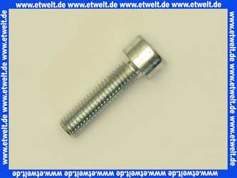 402560 Weishaupt Schraube M8 x 30 LH DIN 912 8.8 Linksgewinde