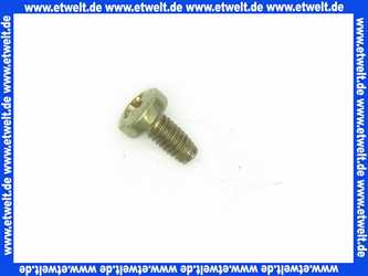 409206 Weishaupt Schraube M4 x 8 DIN 7500-C