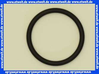 445138 Weishaupt O-Ring 29 x 3,0 -N EPDM 70 DIN 3771