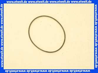 48101140057 Weishaupt Dichtung Pumpe HU/6