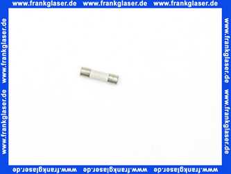 48301122447 Weishaupt Feinsicherung T4H Keramik IEC 127-2/V