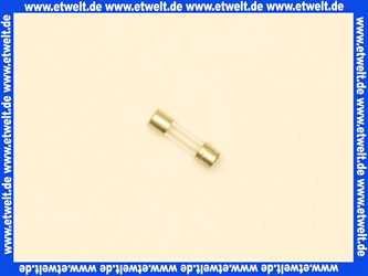 722049 Weishaupt Feinsicherung 5 x 20 0,5A flink IEC 127-2