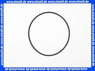 4233945 Wilo O-Ring Dichtung Dichtring