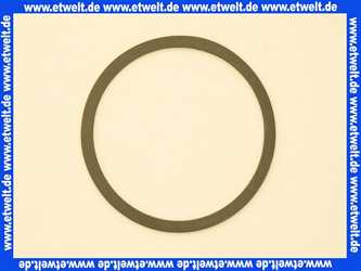 503069593 Wilo Flachdichtung D 86/76 x 2mm