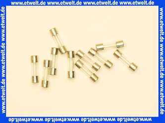 274570099 Wolf Sicherung Fein 4A Flink 250V 5x20mm (10 Stück), (ersetzt Art.-Nr. 27 45 700)